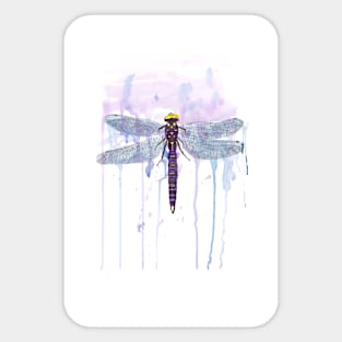 Dragonfly Watercolor Sticker